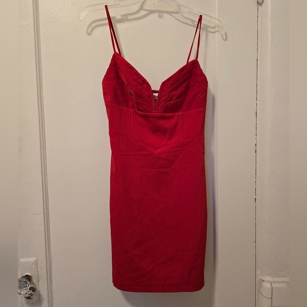 Princess Polly DRESS
